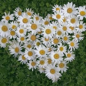 Meet your Posher, Tania